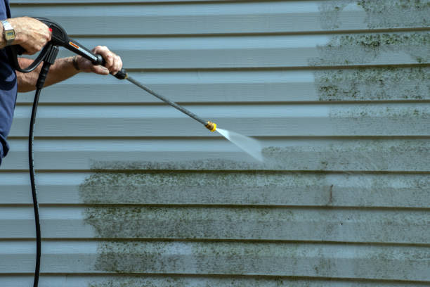 Best Pool Deck Cleaning in Hlsboro, IL