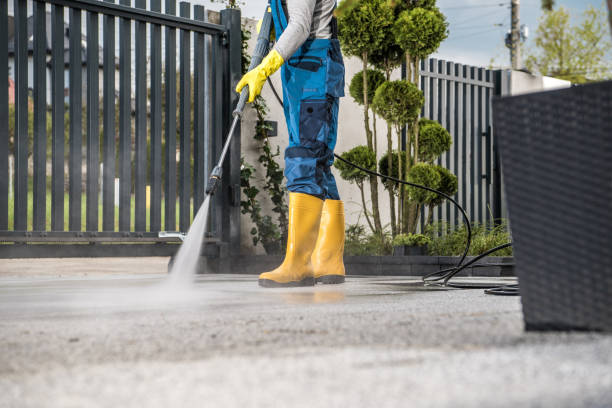 Best Graffiti Removal Services in Hlsboro, IL