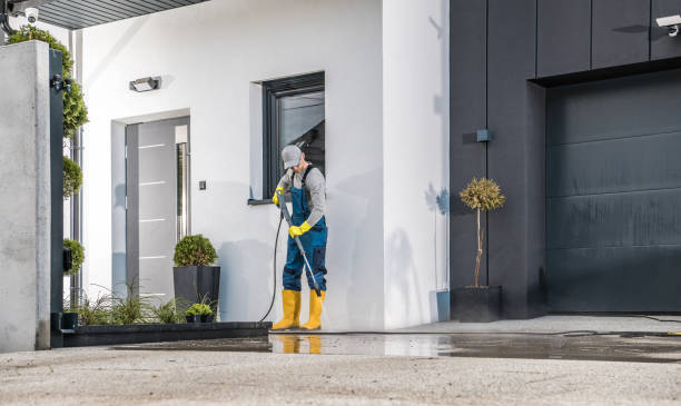 Best Residential Pressure Washing in Hlsboro, IL
